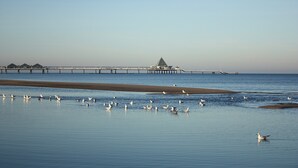 A coastal scene with a pier extending into the water, surrounded by calm sea and a sandy beach.