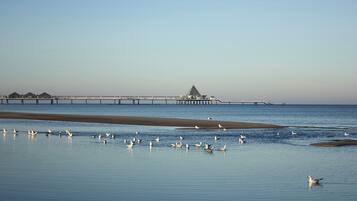 Beach nearby, sun loungers