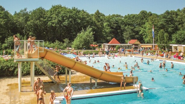 A swimming pool with a slide, surrounded by trees and a pavilion. - 3 bedroom nice home in Vledder (Vledder)