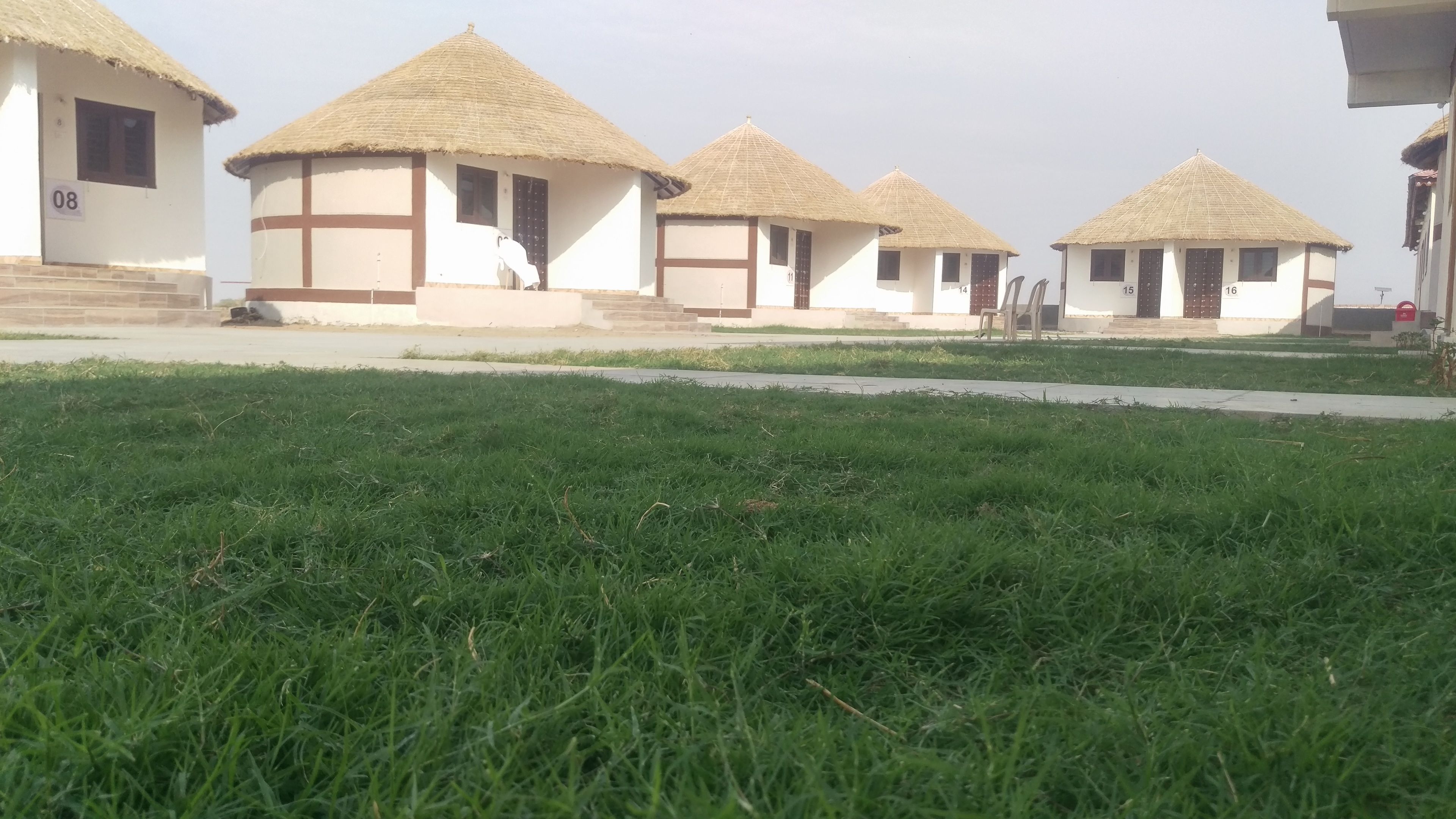 A row of thatched-roof buildings with a grassy foreground.