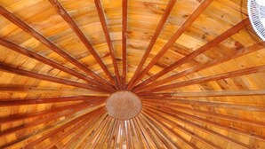 Techo de madera con un diseño radial, que presenta un elemento circular central y vigas uniformemente espaciadas que se irradian hacia afuera.
