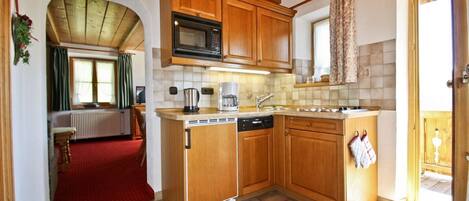 Kühlschrank, Mikrowelle, Herdplatte, Geschirrspüler