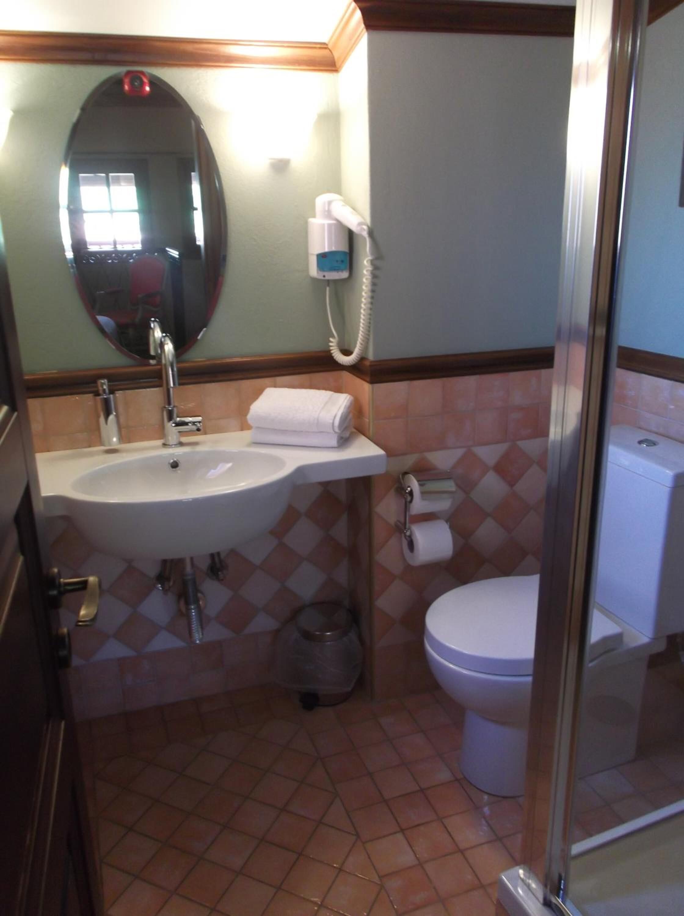 Un baño con lavamanos, espejo, inodoro y ducha.