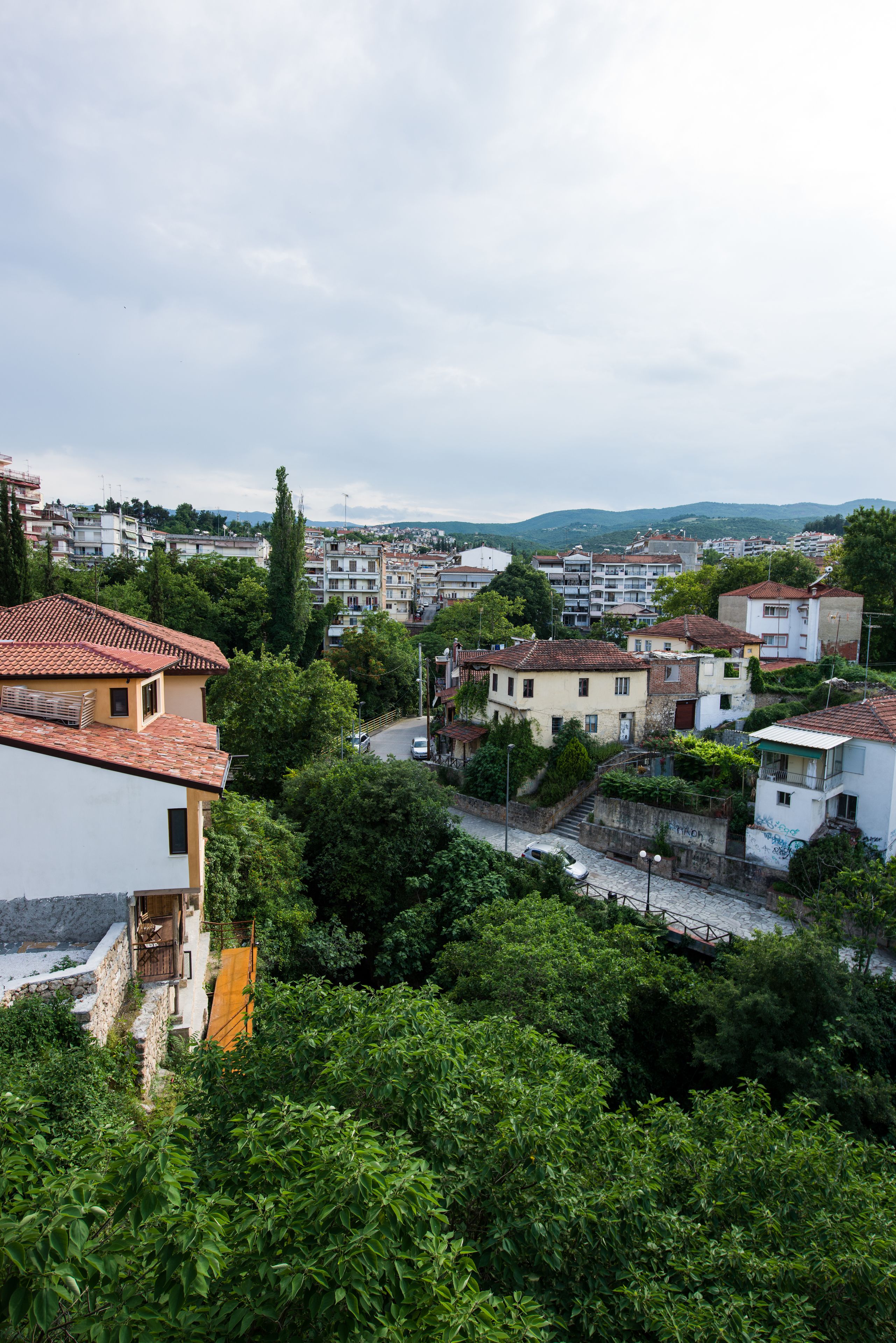 junior suite | view from room