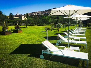 Property grounds - Tenuta San Masseo (Assisi)