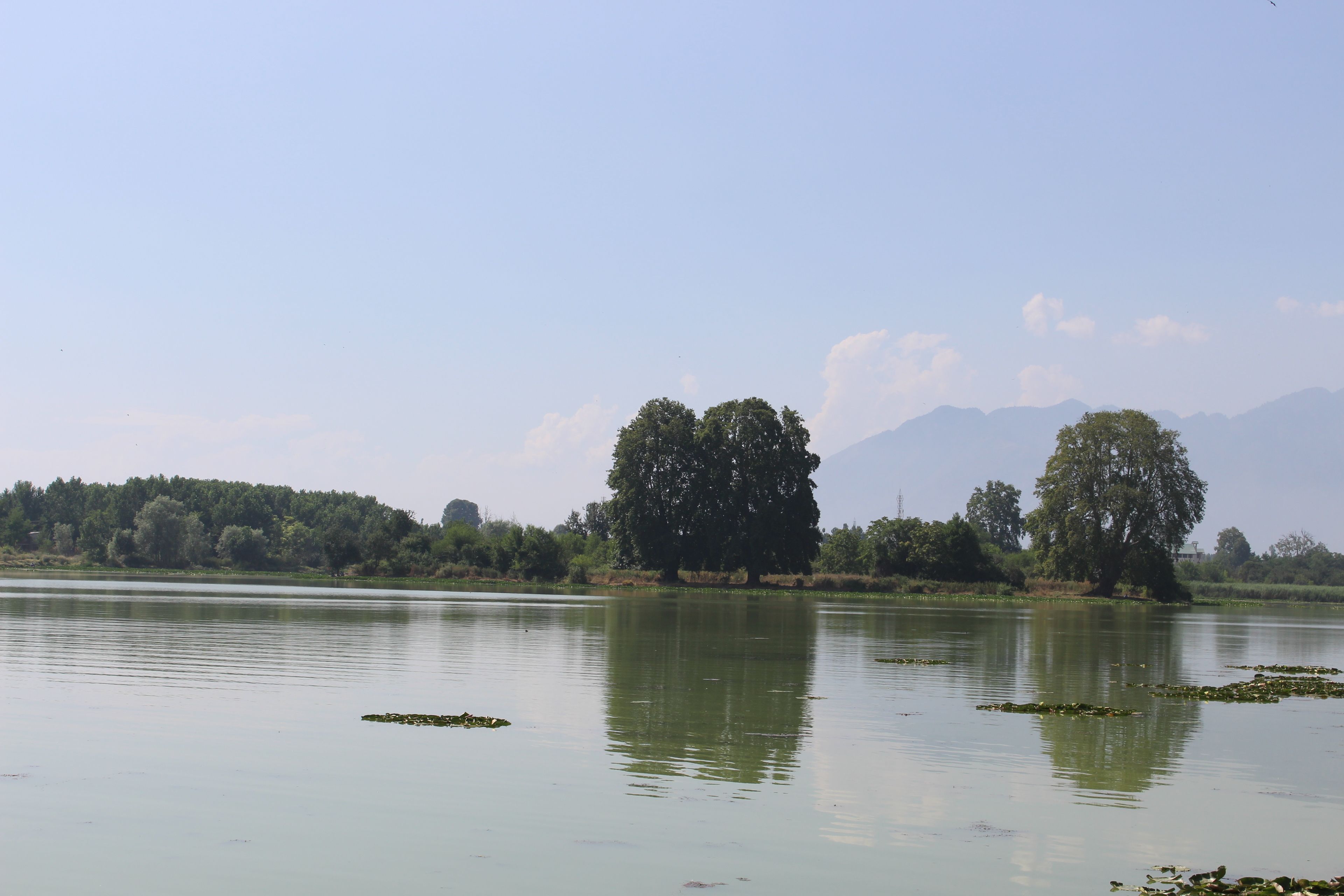 Danau