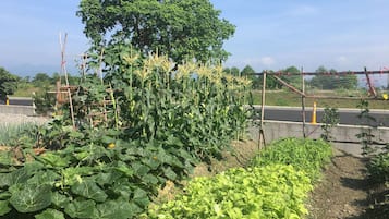 住宿场地