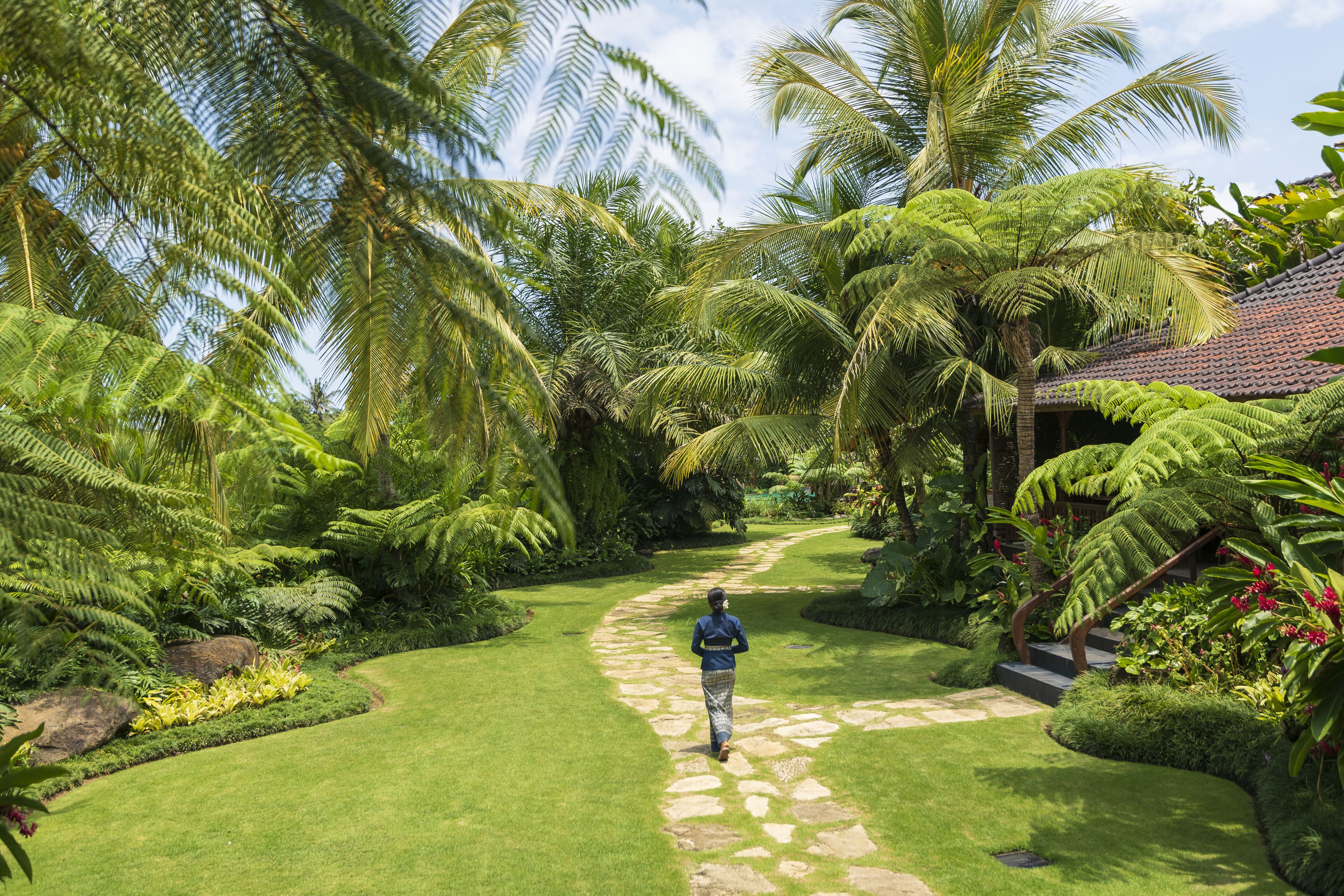 Un sendero atraviesa un exuberante jardín con palmeras y una casa al fondo.
