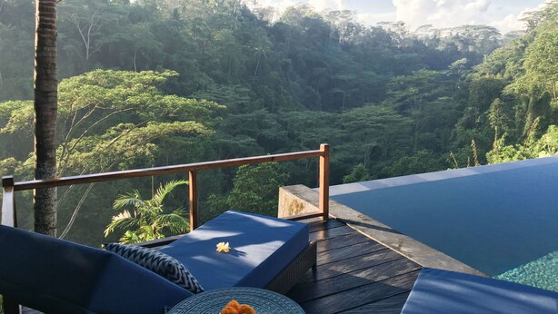 Terraza de madera con piscina, sillas de descanso y vistas a un bosque exuberante.