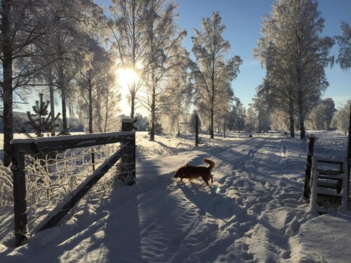 Gästgivars Vandrarhem i Järvsö - Hostel
