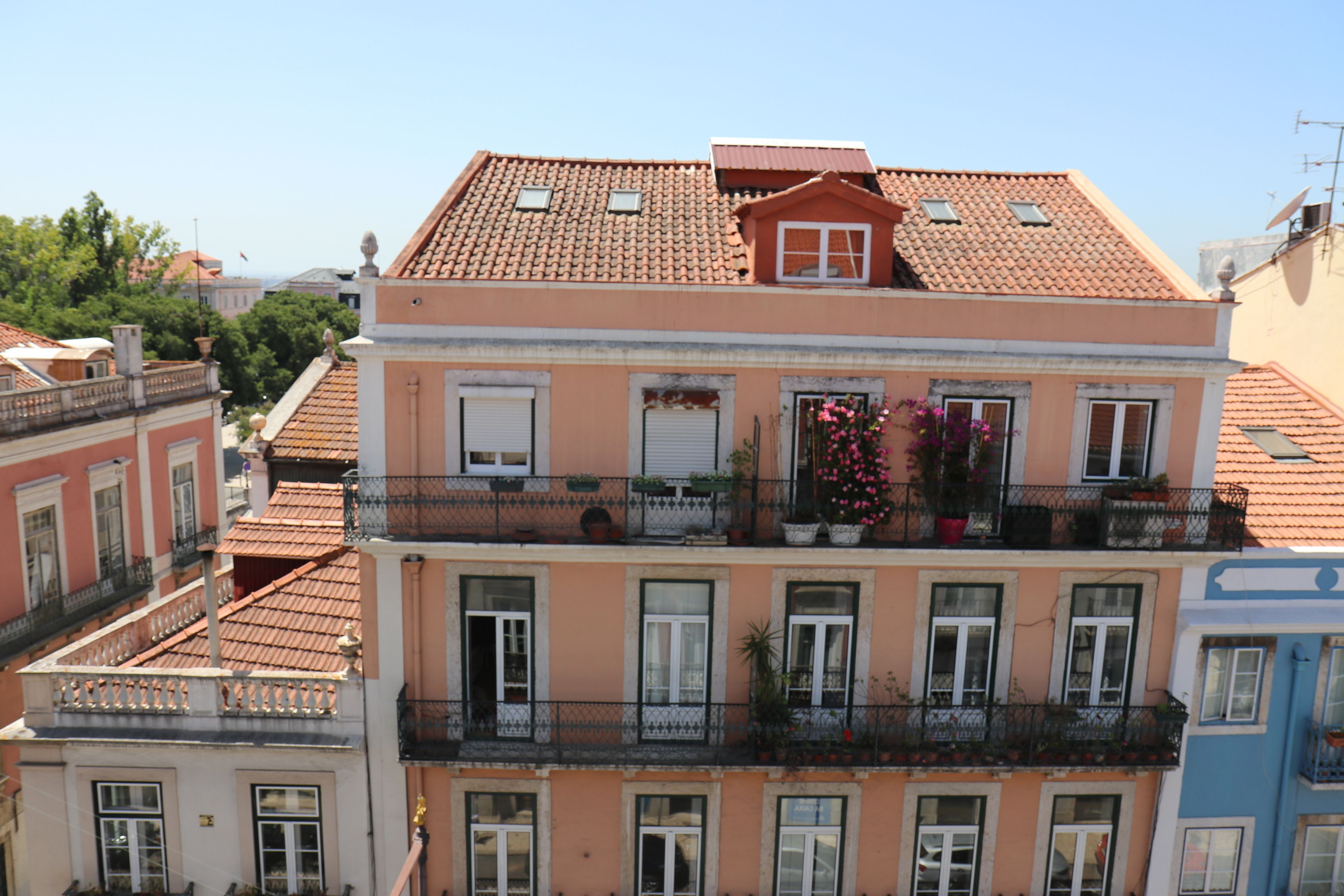 Foto - Botanic Views Guest House