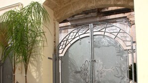 Una entrada protegida con un portón metálico decorativo, una planta en maceta y un tapete con diseño de estrellas en el suelo.