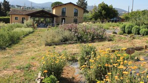 A house with a patio area, surrounded by a garden with various plants and flowers. - Country House Erba Regina (Frascati)