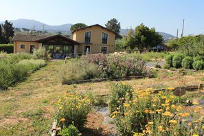 Property grounds - Country House Erba Regina (Frascati)