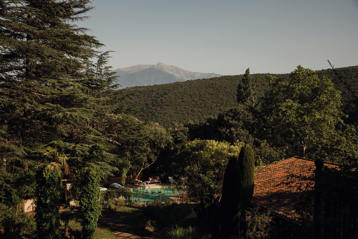 A pool surrounded by lush greenery and a mountain in the background.