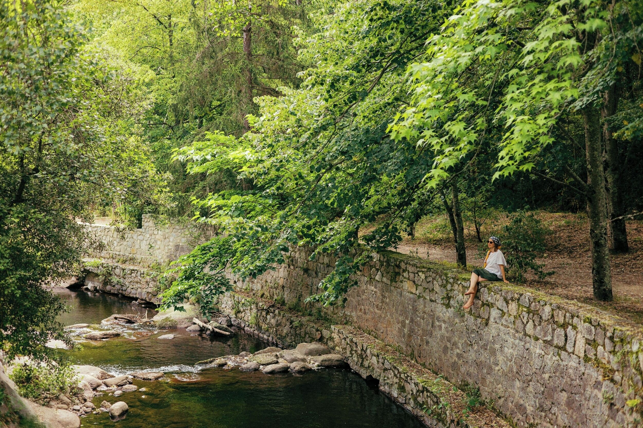 Un puente de piedra sobre un río tranquilo, rodeado de abundante vegetación y árboles.