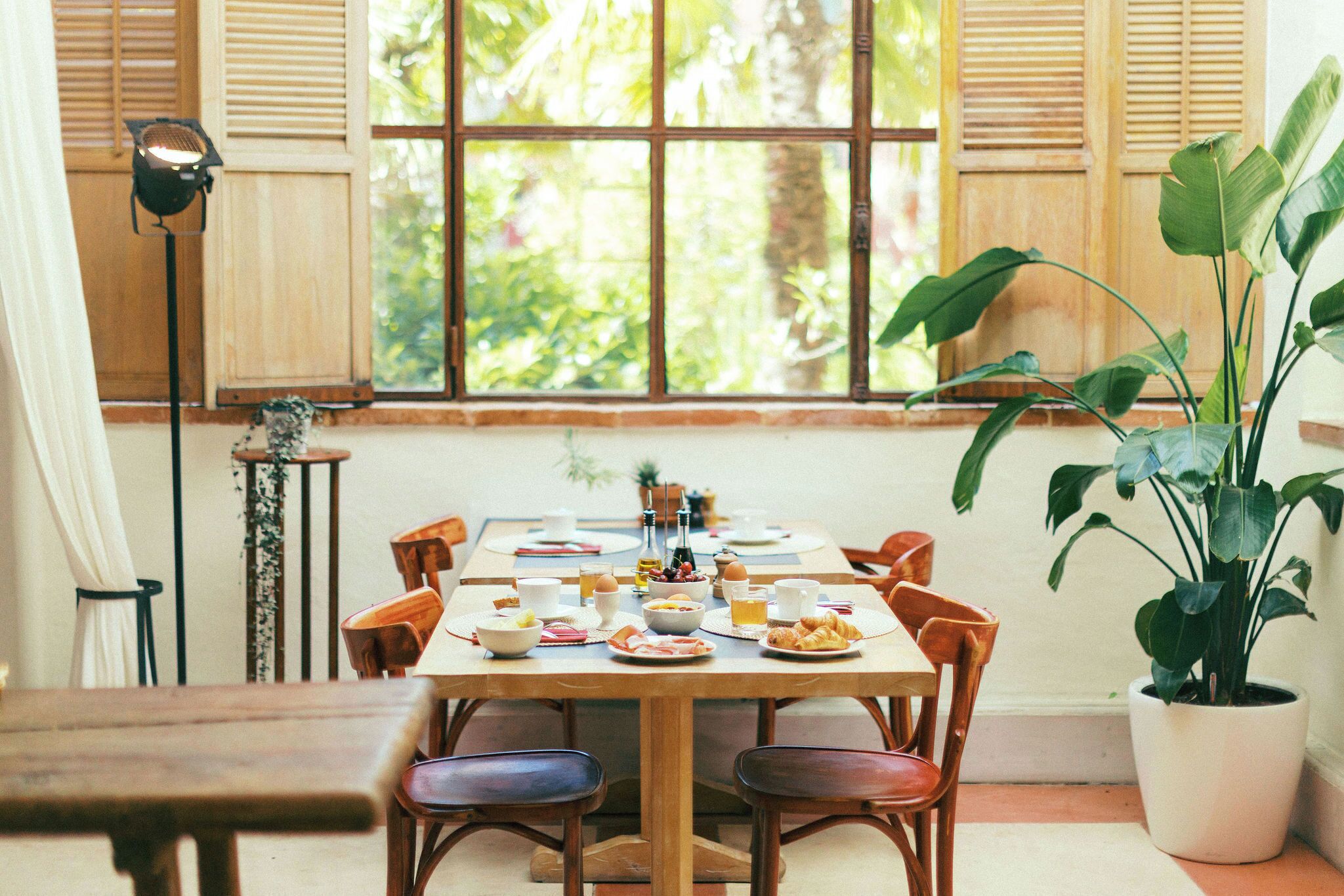 A dining table with chairs, a potted plant, and a window with shutters.