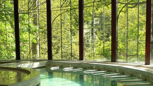 Una piscina interior con agua cristalina, rodeada de amplias ventanas y vistas a un área boscosa.