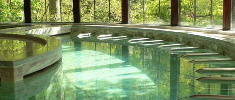 An indoor swimming pool with clear water, surrounded by tall windows and a view of a forested area.