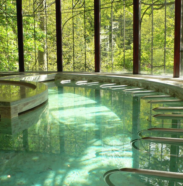 An indoor swimming pool with clear water, surrounded by tall windows and a view of a forested area. - Le Grand Hôtel (Molitg-les-Bains)