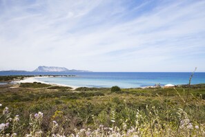 Plage à proximité, bar de plage