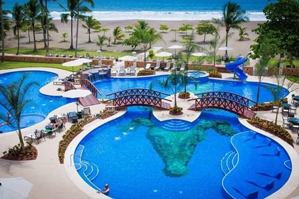 Resort Style pool with beverage and food service