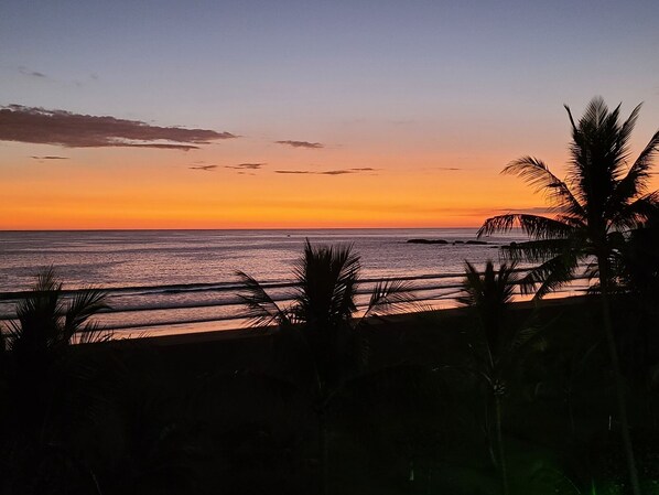 En la playa, camastros y toallas de playa 