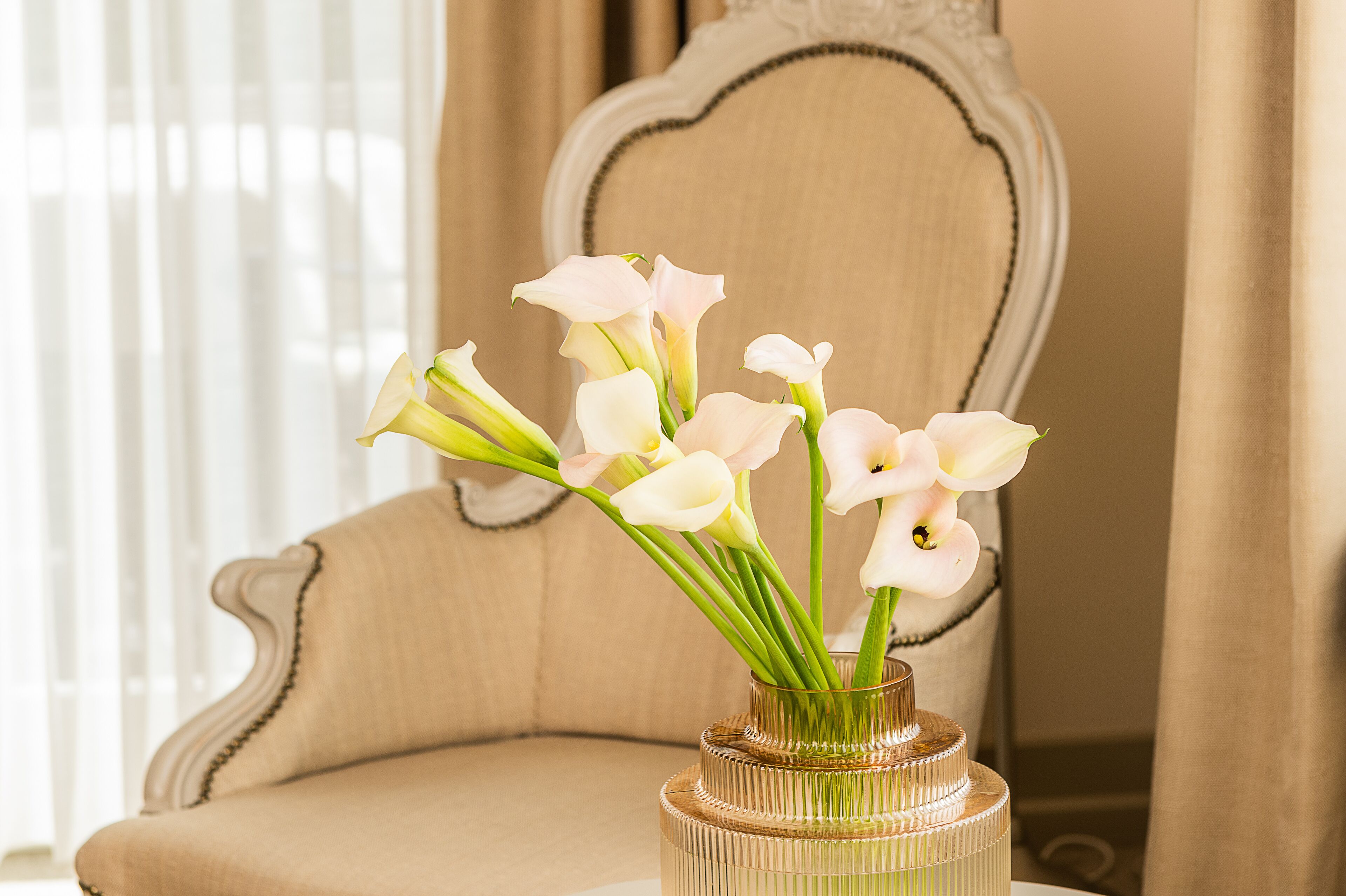 Foto - Schlosshotel Steinburg