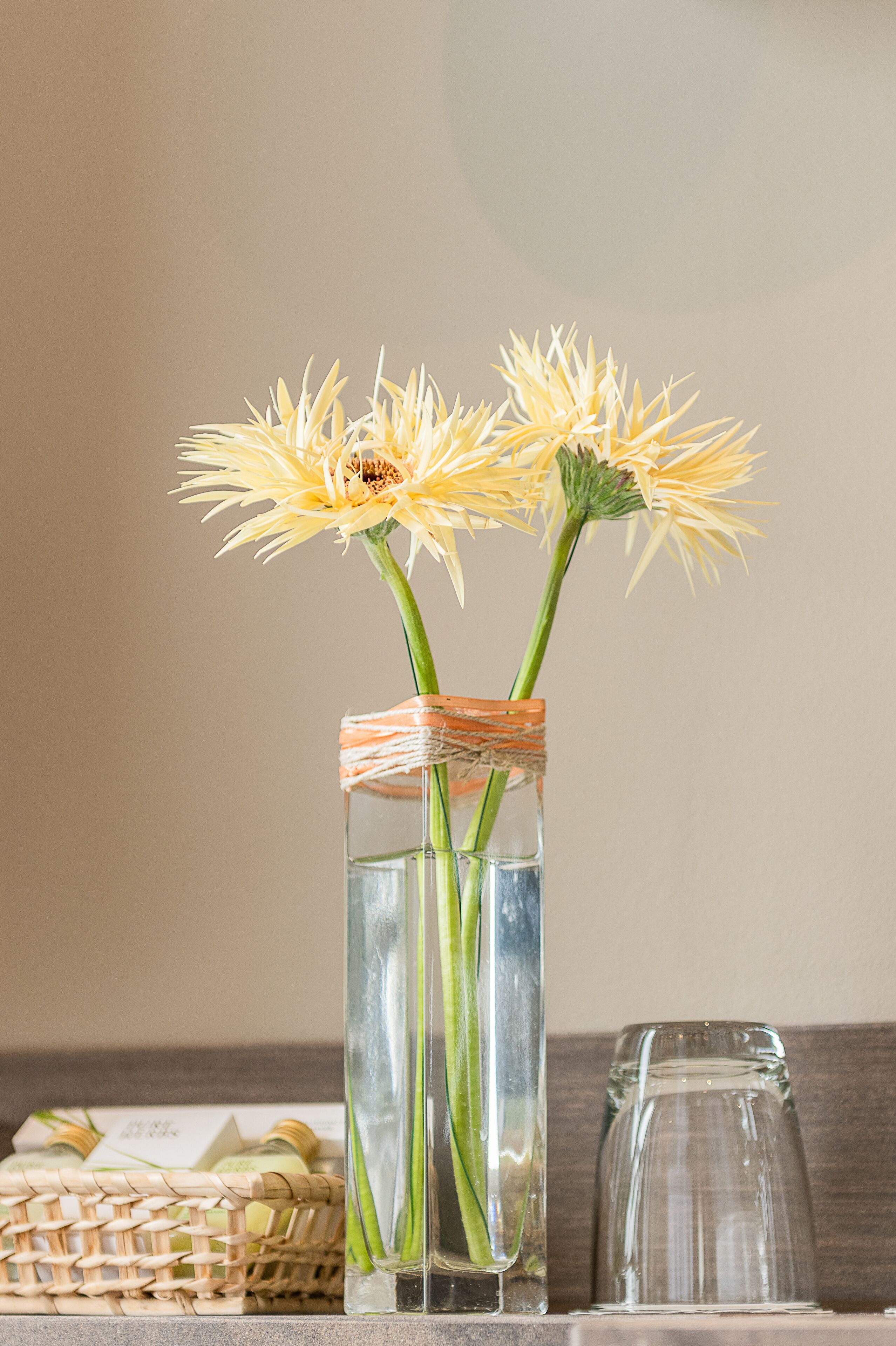 single room | bathroom | free toiletries, hair dryer, bathrobes, towels