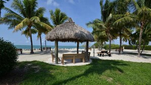 Escena de playa con un pabellón de techo de paja, bancos y palmeras.