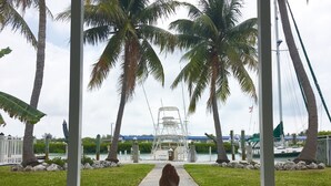Un sendero bordeado de palmeras que conduce a un puerto deportivo con barcos.