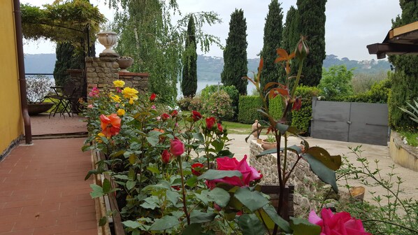 Property grounds - Il Nido del Falco B&B (Castel Gandolfo)