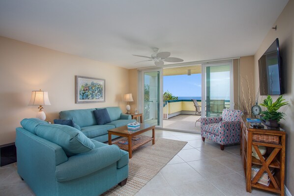 Smart TV, DVD player, books, stereo