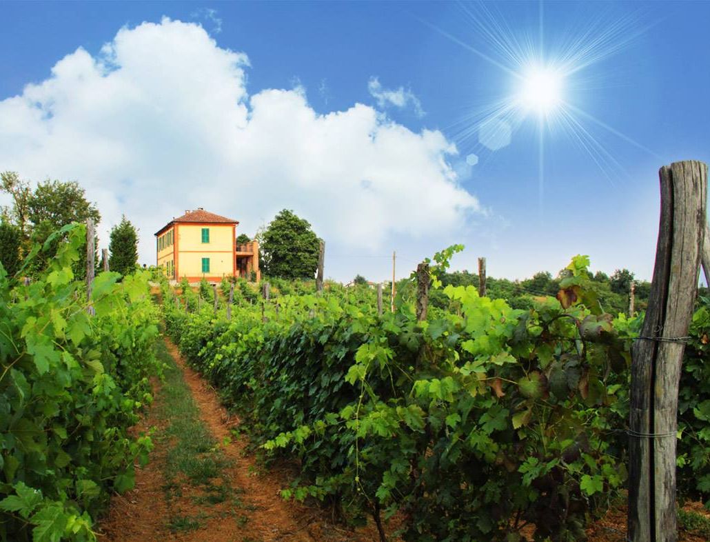 Khuôn viên nơi lưu trú