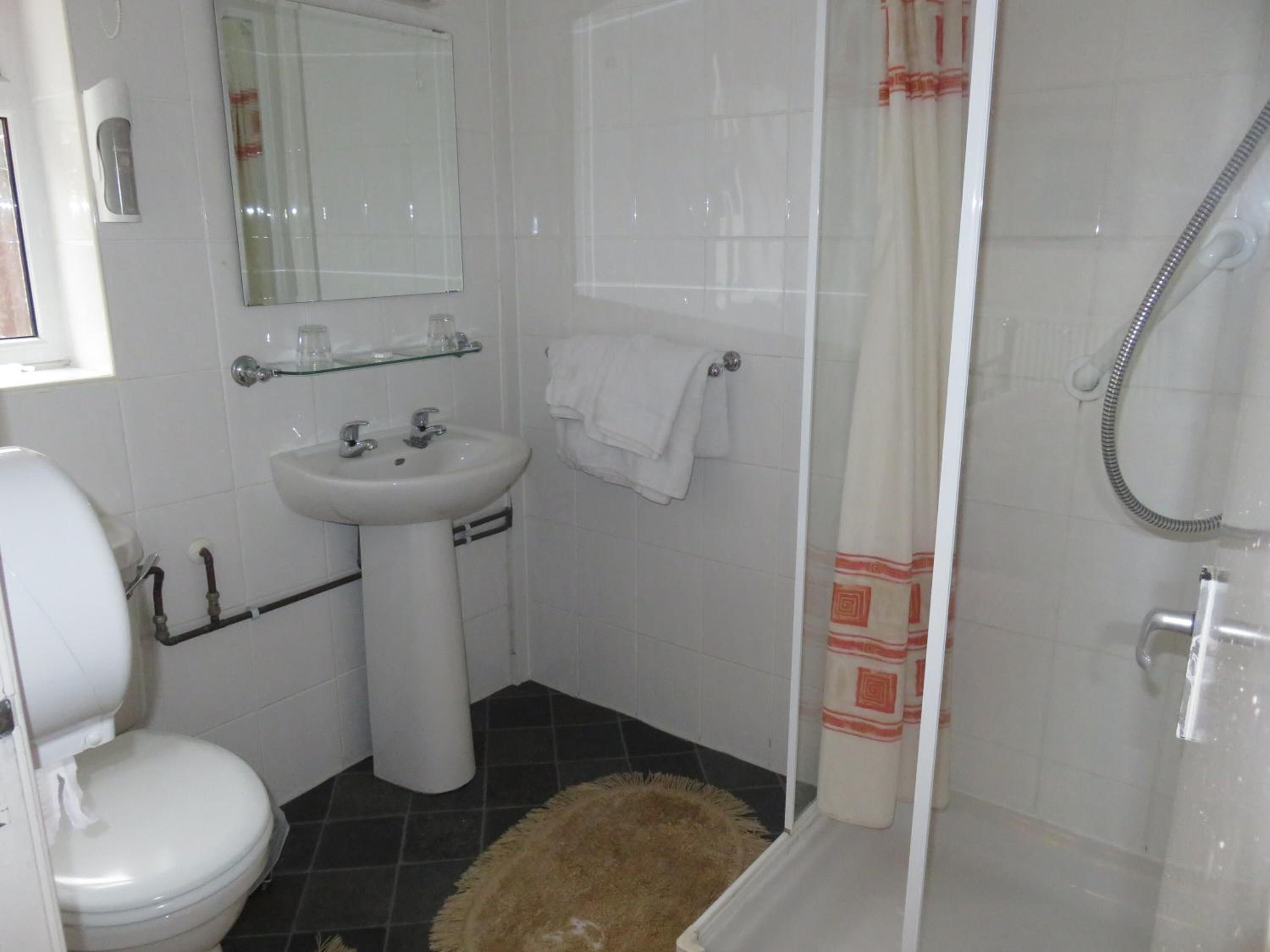 Un baño con inodoro, lavabo y ducha.