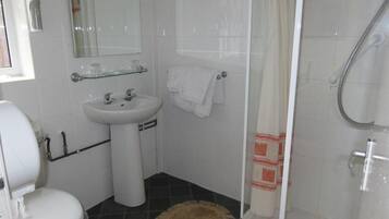 Un baño con inodoro, lavabo y ducha.