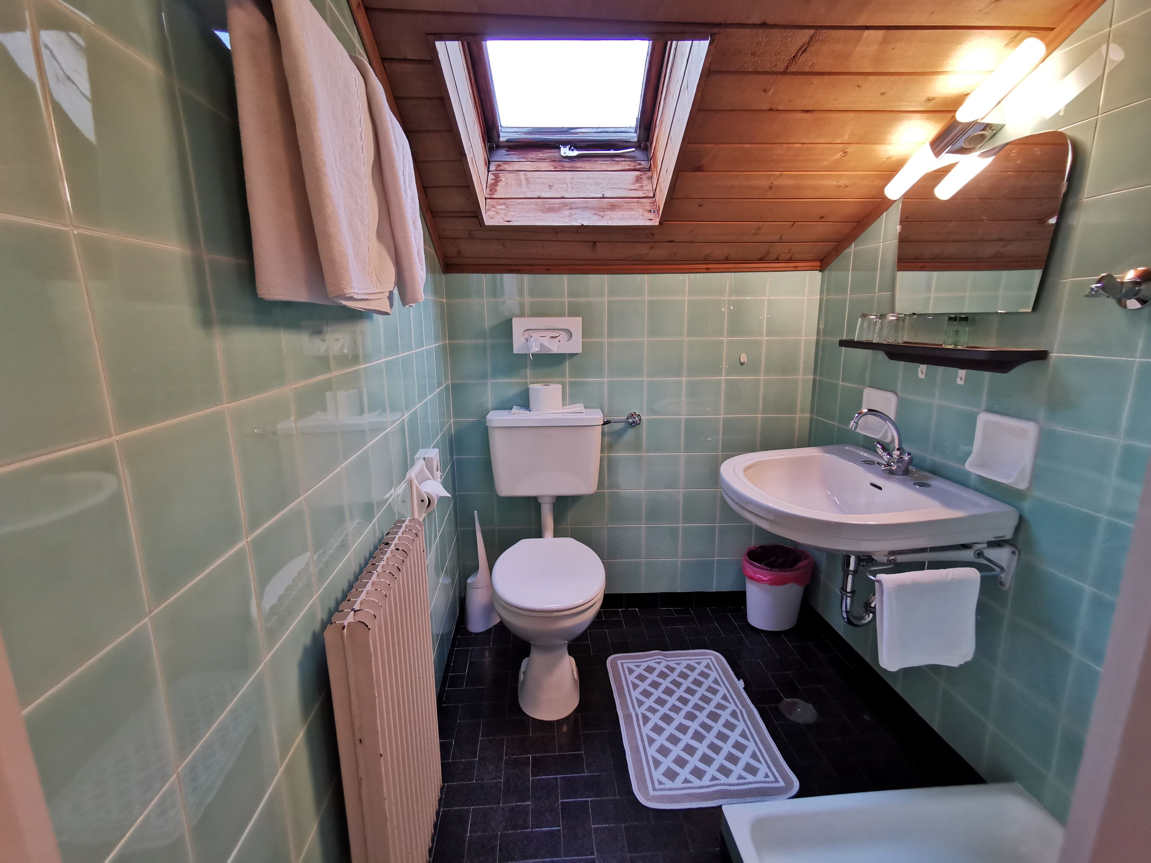 Une salle de bain avec un puits de lumière, des toilettes, un lavabo et une baignoire.