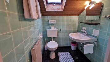 Une salle de bain avec un puits de lumière, des toilettes, un lavabo et une baignoire.