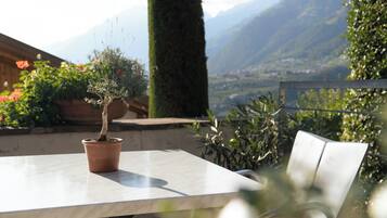 Une table avec un pot de fleurs, une chaise et une vue sur un paysage montagneux.