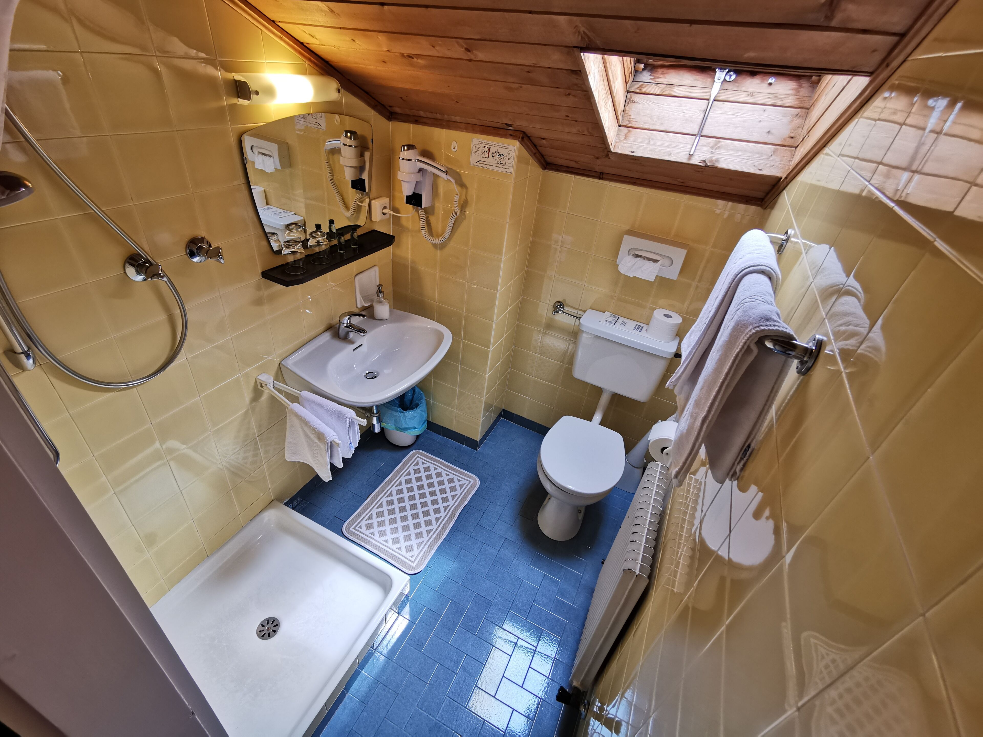 Een kleine badkamer met een wastafel, toilet en douche.