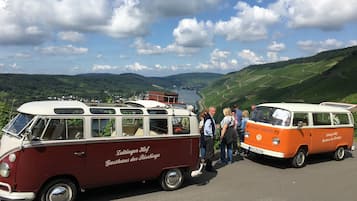 Vintage VW vans parked on a road with a scenic view of hills and a lake.