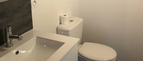 A bathroom with a white sink, a toilet, and a mirror.