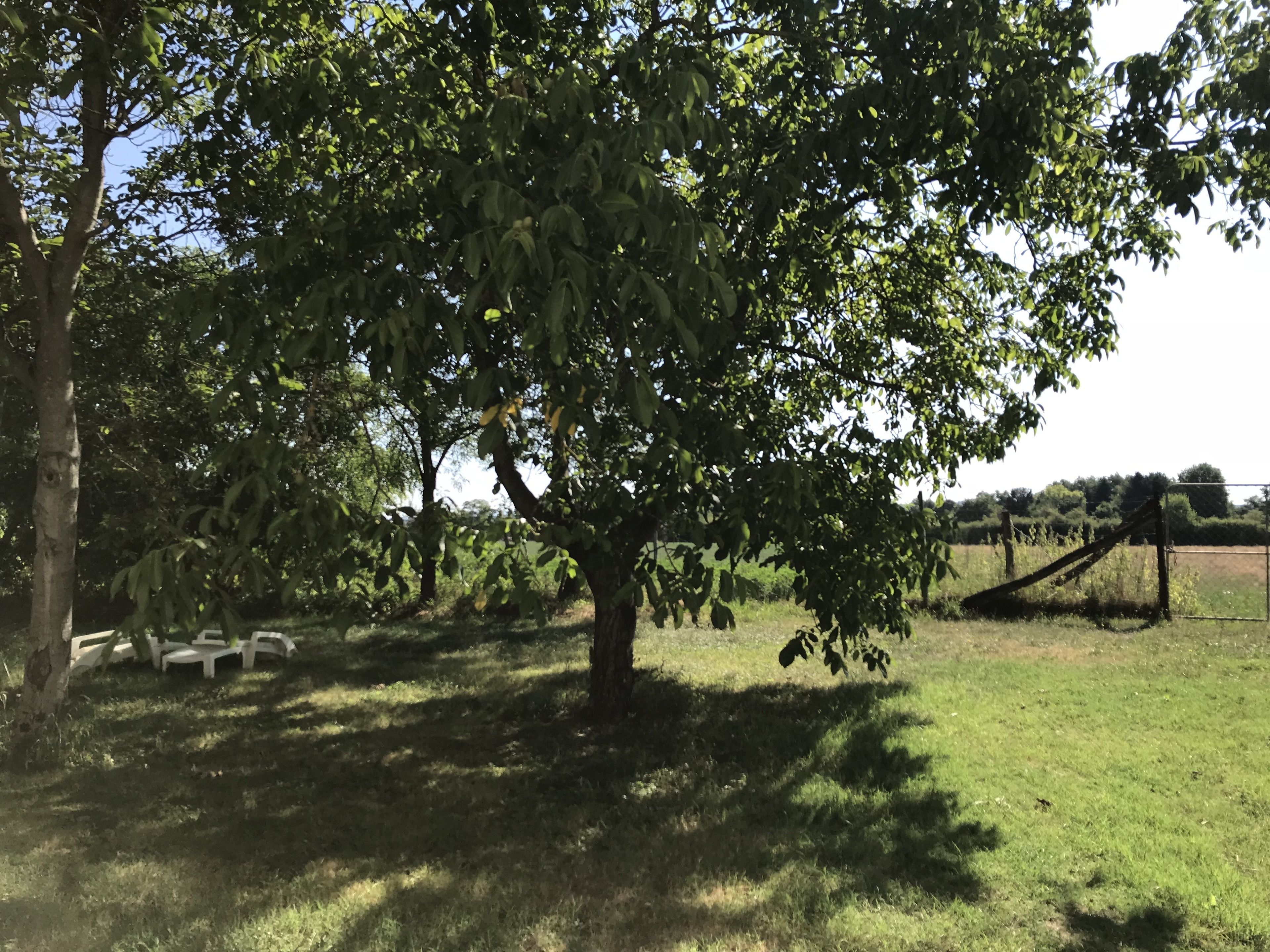 Jardín