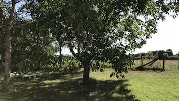 Jardín