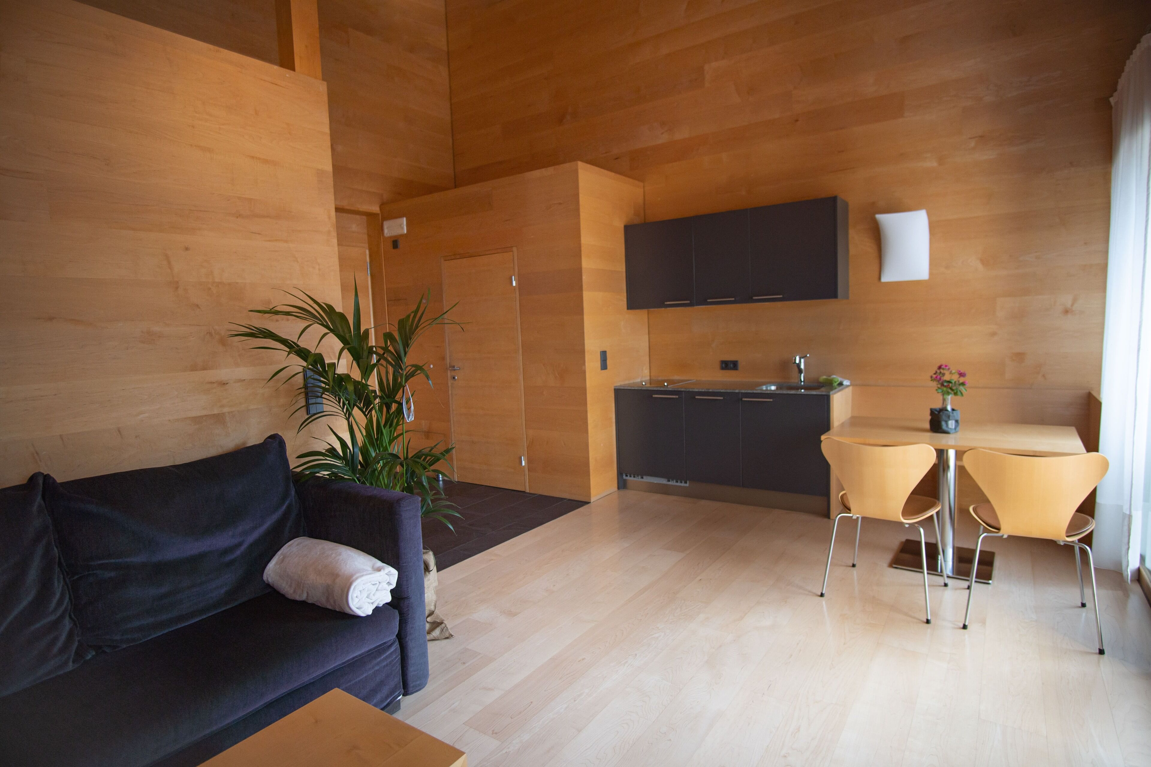 A modern living room with a dark sofa, a small table, and a potted plant. There is a kitchen area with a dining table and chairs.