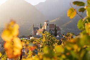 En historisk kyrka med ett klocktorn, omgiven av bostadshus och med berg i bakgrunden.