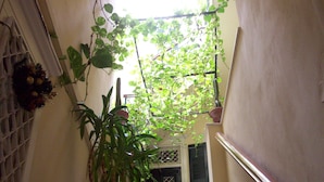 A narrow staircase with potted plants on the left and a wooden handrail on the right.