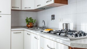 A kitchen with white cabinets, a stainless steel sink, a gas stove, and a potted plant. - I Pungenti (Rosignano Marittimo)