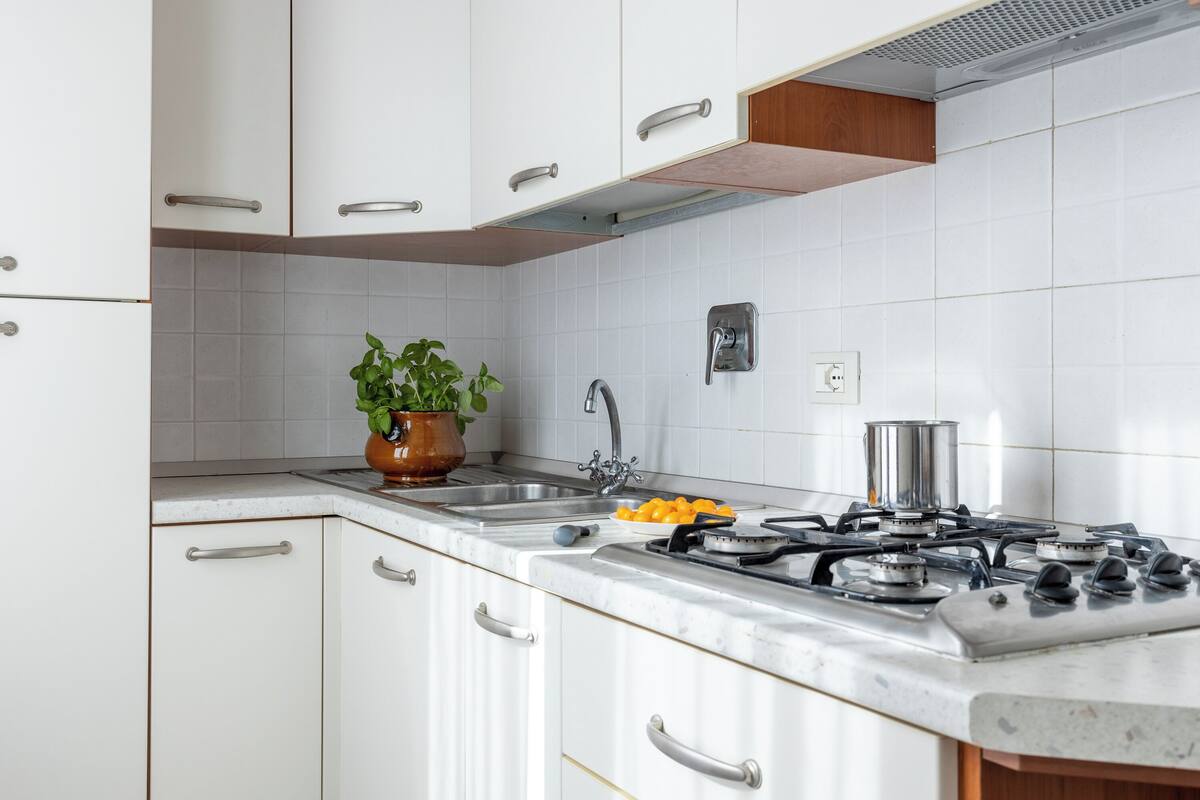 A kitchen with white cabinets, a stainless steel sink, a gas stove, and a potted plant.