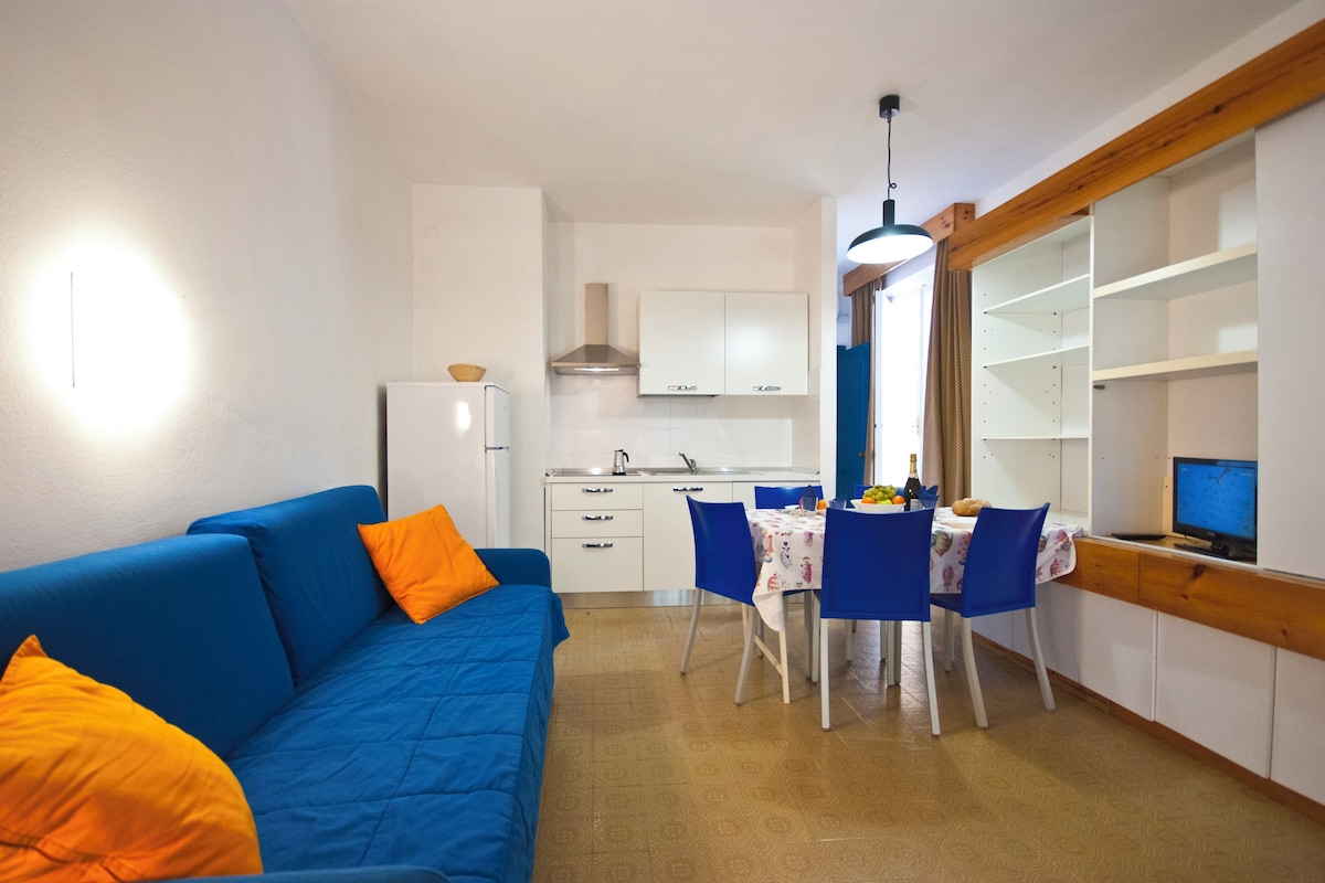 A compact living space with a blue sofa, a dining table with chairs, a kitchen area, and a television on a wooden shelf.